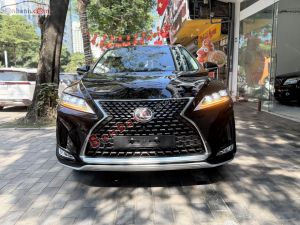 Xe Lexus RX 300 2021