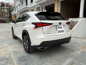 Xe Lexus NX 300 2018