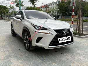 Xe Lexus NX 300 2018
