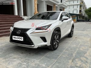 Xe Lexus NX 300 2018
