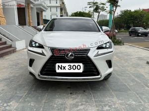 Xe Lexus NX  2018