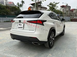 Xe Lexus NX 300 2018