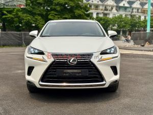 Xe Lexus NX 300 2018