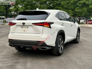 Xe Lexus NX 300 2018