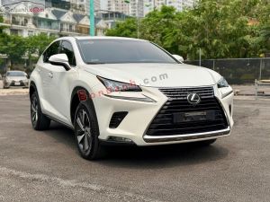 Xe Lexus NX 300 2018