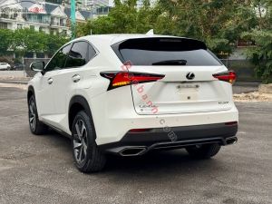 Xe Lexus NX 300 2018
