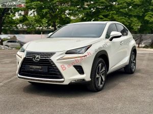 Xe Lexus NX 300 2018